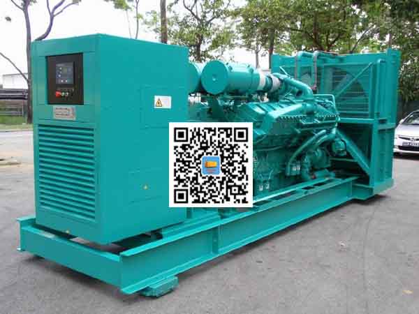 巴马租赁发电机-康明斯发电机性价比还是比较高的